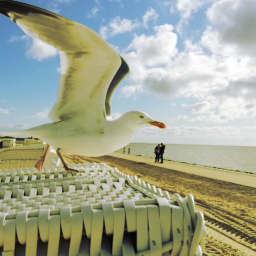 Meeres-Vogel legt ab