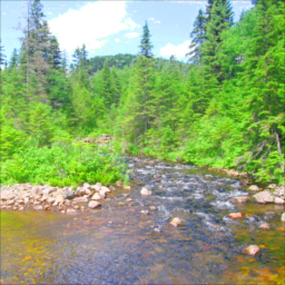 Bach-Zufluss im Wald